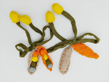 Hand Embroidered Peas in a Pod Applique, Peach Embroidery, Seed Pod Applique